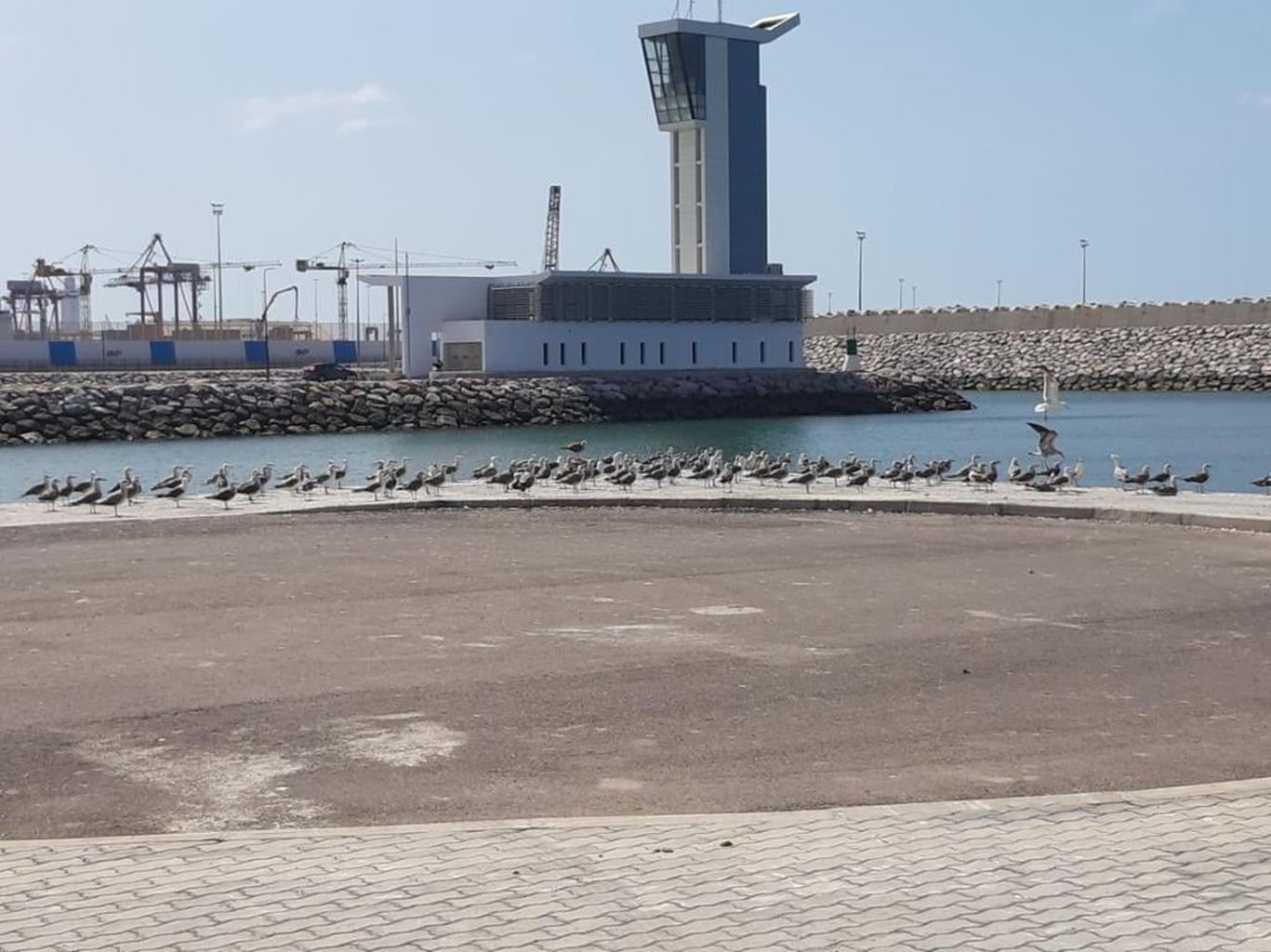 Retail Space Construction